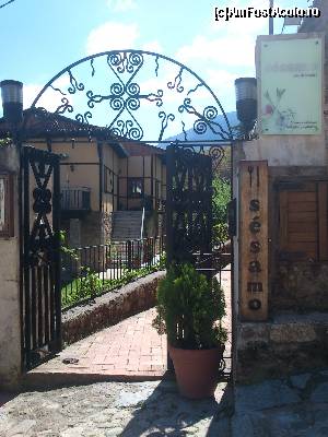 [P43]  -- <small>// FĂRĂ DESCRIERE</small> » foto by alinaro
 - 
<span class="allrVoted glyphicon glyphicon-heart hidden" id="av505958"></span>
<a class="m-l-10 hidden" id="sv505958" onclick="voting_Foto_DelVot(,505958,16294)" role="button">șterge vot <span class="glyphicon glyphicon-remove"></span></a>
<a id="v9505958" class=" c-red"  onclick="voting_Foto_SetVot(505958)" role="button"><span class="glyphicon glyphicon-heart-empty"></span> <b>LIKE</b> = Votează poza</a> <img class="hidden"  id="f505958W9" src="/imagini/loader.gif" border="0" /><span class="AjErrMes hidden" id="e505958ErM"></span>