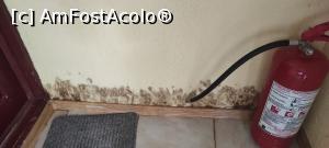 [P02] Așa arată toate camerele cu mucegai » foto by Ionut1900
 - 
<span class="allrVoted glyphicon glyphicon-heart hidden" id="av1241221"></span>
<a class="m-l-10 hidden" id="sv1241221" onclick="voting_Foto_DelVot(,1241221,16334)" role="button">șterge vot <span class="glyphicon glyphicon-remove"></span></a>
<a id="v91241221" class=" c-red"  onclick="voting_Foto_SetVot(1241221)" role="button"><span class="glyphicon glyphicon-heart-empty"></span> <b>LIKE</b> = Votează poza</a> <img class="hidden"  id="f1241221W9" src="/imagini/loader.gif" border="0" /><span class="AjErrMes hidden" id="e1241221ErM"></span>
