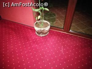 [P05] Turistii rai au facut ceva ghiveciului antialergic...  » foto by triceraptor
 - 
<span class="allrVoted glyphicon glyphicon-heart hidden" id="av831756"></span>
<a class="m-l-10 hidden" id="sv831756" onclick="voting_Foto_DelVot(,831756,16377)" role="button">șterge vot <span class="glyphicon glyphicon-remove"></span></a>
<a id="v9831756" class=" c-red"  onclick="voting_Foto_SetVot(831756)" role="button"><span class="glyphicon glyphicon-heart-empty"></span> <b>LIKE</b> = Votează poza</a> <img class="hidden"  id="f831756W9" src="/imagini/loader.gif" border="0" /><span class="AjErrMes hidden" id="e831756ErM"></span>