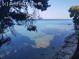 [P10] Prima poza din Grecia. » foto by resita2009
 - 
<span class="allrVoted glyphicon glyphicon-heart hidden" id="av1170929"></span>
<a class="m-l-10 hidden" id="sv1170929" onclick="voting_Foto_DelVot(,1170929,16387)" role="button">șterge vot <span class="glyphicon glyphicon-remove"></span></a>
<a id="v91170929" class=" c-red"  onclick="voting_Foto_SetVot(1170929)" role="button"><span class="glyphicon glyphicon-heart-empty"></span> <b>LIKE</b> = Votează poza</a> <img class="hidden"  id="f1170929W9" src="/imagini/loader.gif" border="0" /><span class="AjErrMes hidden" id="e1170929ErM"></span>