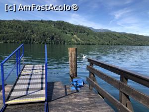 [P07] Millstättersee - pana vine vasul privim zona » foto by mishu
 - 
<span class="allrVoted glyphicon glyphicon-heart hidden" id="av1315994"></span>
<a class="m-l-10 hidden" id="sv1315994" onclick="voting_Foto_DelVot(,1315994,16402)" role="button">șterge vot <span class="glyphicon glyphicon-remove"></span></a>
<a id="v91315994" class=" c-red"  onclick="voting_Foto_SetVot(1315994)" role="button"><span class="glyphicon glyphicon-heart-empty"></span> <b>LIKE</b> = Votează poza</a> <img class="hidden"  id="f1315994W9" src="/imagini/loader.gif" border="0" /><span class="AjErrMes hidden" id="e1315994ErM"></span>