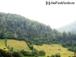 [P01] vedere de la balconul pensiunii » foto by Testosu'
 - 
<span class="allrVoted glyphicon glyphicon-heart hidden" id="av511130"></span>
<a class="m-l-10 hidden" id="sv511130" onclick="voting_Foto_DelVot(,511130,16425)" role="button">șterge vot <span class="glyphicon glyphicon-remove"></span></a>
<a id="v9511130" class=" c-red"  onclick="voting_Foto_SetVot(511130)" role="button"><span class="glyphicon glyphicon-heart-empty"></span> <b>LIKE</b> = Votează poza</a> <img class="hidden"  id="f511130W9" src="/imagini/loader.gif" border="0" /><span class="AjErrMes hidden" id="e511130ErM"></span>