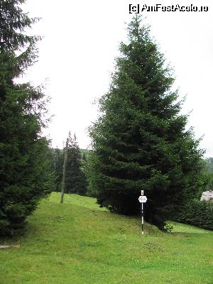 [P06]  -- <small>// FĂRĂ DESCRIERE</small> » foto by Testosu'
 - 
<span class="allrVoted glyphicon glyphicon-heart hidden" id="av511135"></span>
<a class="m-l-10 hidden" id="sv511135" onclick="voting_Foto_DelVot(,511135,16425)" role="button">șterge vot <span class="glyphicon glyphicon-remove"></span></a>
<a id="v9511135" class=" c-red"  onclick="voting_Foto_SetVot(511135)" role="button"><span class="glyphicon glyphicon-heart-empty"></span> <b>LIKE</b> = Votează poza</a> <img class="hidden"  id="f511135W9" src="/imagini/loader.gif" border="0" /><span class="AjErrMes hidden" id="e511135ErM"></span>