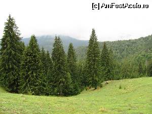 [P07]  -- <small>// FĂRĂ DESCRIERE</small> » foto by Testosu'
 - 
<span class="allrVoted glyphicon glyphicon-heart hidden" id="av511136"></span>
<a class="m-l-10 hidden" id="sv511136" onclick="voting_Foto_DelVot(,511136,16425)" role="button">șterge vot <span class="glyphicon glyphicon-remove"></span></a>
<a id="v9511136" class=" c-red"  onclick="voting_Foto_SetVot(511136)" role="button"><span class="glyphicon glyphicon-heart-empty"></span> <b>LIKE</b> = Votează poza</a> <img class="hidden"  id="f511136W9" src="/imagini/loader.gif" border="0" /><span class="AjErrMes hidden" id="e511136ErM"></span>