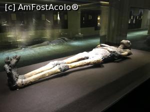 [P25] King Tut Museum – mumia » foto by nicole33
 - 
<span class="allrVoted glyphicon glyphicon-heart hidden" id="av1208540"></span>
<a class="m-l-10 hidden" id="sv1208540" onclick="voting_Foto_DelVot(,1208540,16440)" role="button">șterge vot <span class="glyphicon glyphicon-remove"></span></a>
<a id="v91208540" class=" c-red"  onclick="voting_Foto_SetVot(1208540)" role="button"><span class="glyphicon glyphicon-heart-empty"></span> <b>LIKE</b> = Votează poza</a> <img class="hidden"  id="f1208540W9" src="/imagini/loader.gif" border="0" /><span class="AjErrMes hidden" id="e1208540ErM"></span>