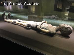 [P26] King Tut Museum – mumia » foto by nicole33
 - 
<span class="allrVoted glyphicon glyphicon-heart hidden" id="av1208541"></span>
<a class="m-l-10 hidden" id="sv1208541" onclick="voting_Foto_DelVot(,1208541,16440)" role="button">șterge vot <span class="glyphicon glyphicon-remove"></span></a>
<a id="v91208541" class=" c-red"  onclick="voting_Foto_SetVot(1208541)" role="button"><span class="glyphicon glyphicon-heart-empty"></span> <b>LIKE</b> = Votează poza</a> <img class="hidden"  id="f1208541W9" src="/imagini/loader.gif" border="0" /><span class="AjErrMes hidden" id="e1208541ErM"></span>