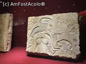 [P88] King Tut Museum » foto by nicole33
 - 
<span class="allrVoted glyphicon glyphicon-heart hidden" id="av1208603"></span>
<a class="m-l-10 hidden" id="sv1208603" onclick="voting_Foto_DelVot(,1208603,16440)" role="button">șterge vot <span class="glyphicon glyphicon-remove"></span></a>
<a id="v91208603" class=" c-red"  onclick="voting_Foto_SetVot(1208603)" role="button"><span class="glyphicon glyphicon-heart-empty"></span> <b>LIKE</b> = Votează poza</a> <img class="hidden"  id="f1208603W9" src="/imagini/loader.gif" border="0" /><span class="AjErrMes hidden" id="e1208603ErM"></span>