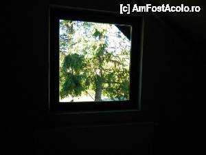 [P15] Nu - nu este un tablou. Este vedere spre afară pe fereastră.  » foto by Dabator
 - 
<span class="allrVoted glyphicon glyphicon-heart hidden" id="av512824"></span>
<a class="m-l-10 hidden" id="sv512824" onclick="voting_Foto_DelVot(,512824,16456)" role="button">șterge vot <span class="glyphicon glyphicon-remove"></span></a>
<a id="v9512824" class=" c-red"  onclick="voting_Foto_SetVot(512824)" role="button"><span class="glyphicon glyphicon-heart-empty"></span> <b>LIKE</b> = Votează poza</a> <img class="hidden"  id="f512824W9" src="/imagini/loader.gif" border="0" /><span class="AjErrMes hidden" id="e512824ErM"></span>