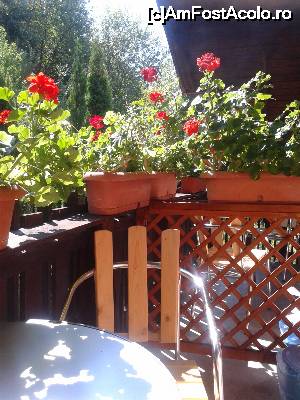[P13] Balconul mic dar cochet, cu vedere la livada din spatele vilei. Sub balcon o mică terasă, amenajată cu mese și scaune. Peste tot simți grija pentru confortul clientului.  » foto by izabiza
 - 
<span class="allrVoted glyphicon glyphicon-heart hidden" id="av676649"></span>
<a class="m-l-10 hidden" id="sv676649" onclick="voting_Foto_DelVot(,676649,16464)" role="button">șterge vot <span class="glyphicon glyphicon-remove"></span></a>
<a id="v9676649" class=" c-red"  onclick="voting_Foto_SetVot(676649)" role="button"><span class="glyphicon glyphicon-heart-empty"></span> <b>LIKE</b> = Votează poza</a> <img class="hidden"  id="f676649W9" src="/imagini/loader.gif" border="0" /><span class="AjErrMes hidden" id="e676649ErM"></span>