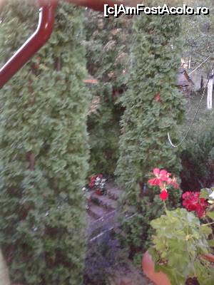 [P14] Poza nu e foarte clară, dar o încarc totuși. Vedere de pe balcon, către aleea laterală, care duce spre livadă.  » foto by izabiza
 - 
<span class="allrVoted glyphicon glyphicon-heart hidden" id="av676651"></span>
<a class="m-l-10 hidden" id="sv676651" onclick="voting_Foto_DelVot(,676651,16464)" role="button">șterge vot <span class="glyphicon glyphicon-remove"></span></a>
<a id="v9676651" class=" c-red"  onclick="voting_Foto_SetVot(676651)" role="button"><span class="glyphicon glyphicon-heart-empty"></span> <b>LIKE</b> = Votează poza</a> <img class="hidden"  id="f676651W9" src="/imagini/loader.gif" border="0" /><span class="AjErrMes hidden" id="e676651ErM"></span>