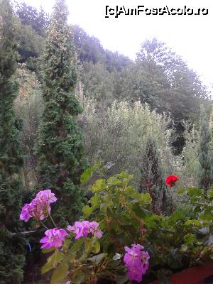 [P15] o altă vedere de pe balcon » foto by izabiza
 - 
<span class="allrVoted glyphicon glyphicon-heart hidden" id="av676653"></span>
<a class="m-l-10 hidden" id="sv676653" onclick="voting_Foto_DelVot(,676653,16464)" role="button">șterge vot <span class="glyphicon glyphicon-remove"></span></a>
<a id="v9676653" class=" c-red"  onclick="voting_Foto_SetVot(676653)" role="button"><span class="glyphicon glyphicon-heart-empty"></span> <b>LIKE</b> = Votează poza</a> <img class="hidden"  id="f676653W9" src="/imagini/loader.gif" border="0" /><span class="AjErrMes hidden" id="e676653ErM"></span>