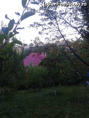 [P17] Acoperișul Vilei Bica, așa cum se vede din livadă, mai de sus.  » foto by izabiza
 - 
<span class="allrVoted glyphicon glyphicon-heart hidden" id="av676657"></span>
<a class="m-l-10 hidden" id="sv676657" onclick="voting_Foto_DelVot(,676657,16464)" role="button">șterge vot <span class="glyphicon glyphicon-remove"></span></a>
<a id="v9676657" class=" c-red"  onclick="voting_Foto_SetVot(676657)" role="button"><span class="glyphicon glyphicon-heart-empty"></span> <b>LIKE</b> = Votează poza</a> <img class="hidden"  id="f676657W9" src="/imagini/loader.gif" border="0" /><span class="AjErrMes hidden" id="e676657ErM"></span>