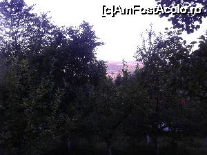 [P18] Vedere din vărful pantei, de unde se termină livada și începe pădurea.  » foto by izabiza
 - 
<span class="allrVoted glyphicon glyphicon-heart hidden" id="av676658"></span>
<a class="m-l-10 hidden" id="sv676658" onclick="voting_Foto_DelVot(,676658,16464)" role="button">șterge vot <span class="glyphicon glyphicon-remove"></span></a>
<a id="v9676658" class=" c-red"  onclick="voting_Foto_SetVot(676658)" role="button"><span class="glyphicon glyphicon-heart-empty"></span> <b>LIKE</b> = Votează poza</a> <img class="hidden"  id="f676658W9" src="/imagini/loader.gif" border="0" /><span class="AjErrMes hidden" id="e676658ErM"></span>