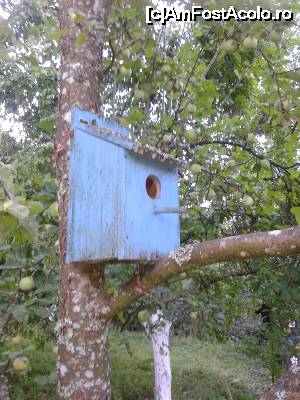 [P22] un semn al dragostei de natură și viețuitoare a Domnului Mihail Bica :)  » foto by izabiza
 - 
<span class="allrVoted glyphicon glyphicon-heart hidden" id="av676664"></span>
<a class="m-l-10 hidden" id="sv676664" onclick="voting_Foto_DelVot(,676664,16464)" role="button">șterge vot <span class="glyphicon glyphicon-remove"></span></a>
<a id="v9676664" class=" c-red"  onclick="voting_Foto_SetVot(676664)" role="button"><span class="glyphicon glyphicon-heart-empty"></span> <b>LIKE</b> = Votează poza</a> <img class="hidden"  id="f676664W9" src="/imagini/loader.gif" border="0" /><span class="AjErrMes hidden" id="e676664ErM"></span>