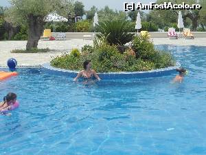 [P04]  -- <small>// FĂRĂ DESCRIERE</small> » foto by mihaela6226
 - 
<span class="allrVoted glyphicon glyphicon-heart hidden" id="av676573"></span>
<a class="m-l-10 hidden" id="sv676573" onclick="voting_Foto_DelVot(,676573,16475)" role="button">șterge vot <span class="glyphicon glyphicon-remove"></span></a>
<a id="v9676573" class=" c-red"  onclick="voting_Foto_SetVot(676573)" role="button"><span class="glyphicon glyphicon-heart-empty"></span> <b>LIKE</b> = Votează poza</a> <img class="hidden"  id="f676573W9" src="/imagini/loader.gif" border="0" /><span class="AjErrMes hidden" id="e676573ErM"></span>