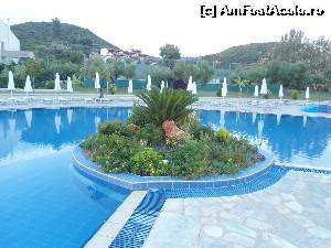 [P09] piscina » foto by mihaela6226
 - 
<span class="allrVoted glyphicon glyphicon-heart hidden" id="av676578"></span>
<a class="m-l-10 hidden" id="sv676578" onclick="voting_Foto_DelVot(,676578,16475)" role="button">șterge vot <span class="glyphicon glyphicon-remove"></span></a>
<a id="v9676578" class=" c-red"  onclick="voting_Foto_SetVot(676578)" role="button"><span class="glyphicon glyphicon-heart-empty"></span> <b>LIKE</b> = Votează poza</a> <img class="hidden"  id="f676578W9" src="/imagini/loader.gif" border="0" /><span class="AjErrMes hidden" id="e676578ErM"></span>