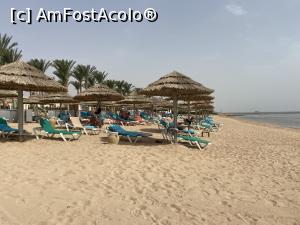 [P10] Rixos Sharm - O alegere excelentă - pe plajă » foto by nicole33
 - 
<span class="allrVoted glyphicon glyphicon-heart hidden" id="av1235437"></span>
<a class="m-l-10 hidden" id="sv1235437" onclick="voting_Foto_DelVot(,1235437,16490)" role="button">șterge vot <span class="glyphicon glyphicon-remove"></span></a>
<a id="v91235437" class=" c-red"  onclick="voting_Foto_SetVot(1235437)" role="button"><span class="glyphicon glyphicon-heart-empty"></span> <b>LIKE</b> = Votează poza</a> <img class="hidden"  id="f1235437W9" src="/imagini/loader.gif" border="0" /><span class="AjErrMes hidden" id="e1235437ErM"></span>