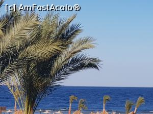 [P02] Rixos Sharm - O alegere excelentă -vederea la mare » foto by nicole33
 - 
<span class="allrVoted glyphicon glyphicon-heart hidden" id="av1235429"></span>
<a class="m-l-10 hidden" id="sv1235429" onclick="voting_Foto_DelVot(,1235429,16490)" role="button">șterge vot <span class="glyphicon glyphicon-remove"></span></a>
<a id="v91235429" class=" c-red"  onclick="voting_Foto_SetVot(1235429)" role="button"><span class="glyphicon glyphicon-heart-empty"></span> <b>LIKE</b> = Votează poza</a> <img class="hidden"  id="f1235429W9" src="/imagini/loader.gif" border="0" /><span class="AjErrMes hidden" id="e1235429ErM"></span>