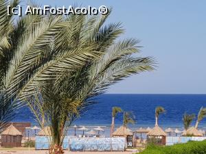 [P40] Rixos Sharm - O alegere excelentă - plaja şi marea » foto by nicole33
 - 
<span class="allrVoted glyphicon glyphicon-heart hidden" id="av1235467"></span>
<a class="m-l-10 hidden" id="sv1235467" onclick="voting_Foto_DelVot(,1235467,16490)" role="button">șterge vot <span class="glyphicon glyphicon-remove"></span></a>
<a id="v91235467" class=" c-red"  onclick="voting_Foto_SetVot(1235467)" role="button"><span class="glyphicon glyphicon-heart-empty"></span> <b>LIKE</b> = Votează poza</a> <img class="hidden"  id="f1235467W9" src="/imagini/loader.gif" border="0" /><span class="AjErrMes hidden" id="e1235467ErM"></span>