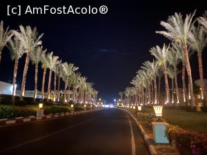 [P52] Rixos Sharm - O alegere excelentă - prin resort » foto by nicole33
 - 
<span class="allrVoted glyphicon glyphicon-heart hidden" id="av1235479"></span>
<a class="m-l-10 hidden" id="sv1235479" onclick="voting_Foto_DelVot(,1235479,16490)" role="button">șterge vot <span class="glyphicon glyphicon-remove"></span></a>
<a id="v91235479" class=" c-red"  onclick="voting_Foto_SetVot(1235479)" role="button"><span class="glyphicon glyphicon-heart-empty"></span> <b>LIKE</b> = Votează poza</a> <img class="hidden"  id="f1235479W9" src="/imagini/loader.gif" border="0" /><span class="AjErrMes hidden" id="e1235479ErM"></span>