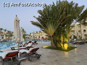 [P53] Rixos Sharm - O alegere excelentă - la piscină » foto by nicole33
 - 
<span class="allrVoted glyphicon glyphicon-heart hidden" id="av1235480"></span>
<a class="m-l-10 hidden" id="sv1235480" onclick="voting_Foto_DelVot(,1235480,16490)" role="button">șterge vot <span class="glyphicon glyphicon-remove"></span></a>
<a id="v91235480" class=" c-red"  onclick="voting_Foto_SetVot(1235480)" role="button"><span class="glyphicon glyphicon-heart-empty"></span> <b>LIKE</b> = Votează poza</a> <img class="hidden"  id="f1235480W9" src="/imagini/loader.gif" border="0" /><span class="AjErrMes hidden" id="e1235480ErM"></span>