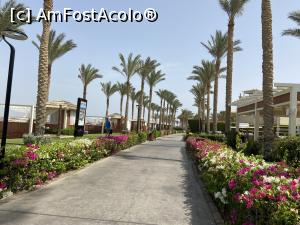 [P06] Rixos Sharm - O alegere excelentă - aleea de promenadă a resortului » foto by nicole33
 - 
<span class="allrVoted glyphicon glyphicon-heart hidden" id="av1235433"></span>
<a class="m-l-10 hidden" id="sv1235433" onclick="voting_Foto_DelVot(,1235433,16490)" role="button">șterge vot <span class="glyphicon glyphicon-remove"></span></a>
<a id="v91235433" class=" c-red"  onclick="voting_Foto_SetVot(1235433)" role="button"><span class="glyphicon glyphicon-heart-empty"></span> <b>LIKE</b> = Votează poza</a> <img class="hidden"  id="f1235433W9" src="/imagini/loader.gif" border="0" /><span class="AjErrMes hidden" id="e1235433ErM"></span>