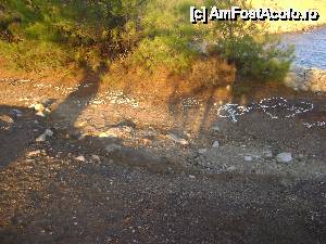 [P10] Palataki, insula Thassos, Limenaria » foto by biancuta
 - 
<span class="allrVoted glyphicon glyphicon-heart hidden" id="av512118"></span>
<a class="m-l-10 hidden" id="sv512118" onclick="voting_Foto_DelVot(,512118,16494)" role="button">șterge vot <span class="glyphicon glyphicon-remove"></span></a>
<a id="v9512118" class=" c-red"  onclick="voting_Foto_SetVot(512118)" role="button"><span class="glyphicon glyphicon-heart-empty"></span> <b>LIKE</b> = Votează poza</a> <img class="hidden"  id="f512118W9" src="/imagini/loader.gif" border="0" /><span class="AjErrMes hidden" id="e512118ErM"></span>