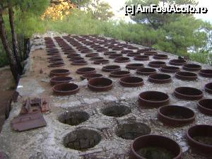 [P14] Palataki, insula Thassos, Limenaria » foto by biancuta
 - 
<span class="allrVoted glyphicon glyphicon-heart hidden" id="av512122"></span>
<a class="m-l-10 hidden" id="sv512122" onclick="voting_Foto_DelVot(,512122,16494)" role="button">șterge vot <span class="glyphicon glyphicon-remove"></span></a>
<a id="v9512122" class=" c-red"  onclick="voting_Foto_SetVot(512122)" role="button"><span class="glyphicon glyphicon-heart-empty"></span> <b>LIKE</b> = Votează poza</a> <img class="hidden"  id="f512122W9" src="/imagini/loader.gif" border="0" /><span class="AjErrMes hidden" id="e512122ErM"></span>