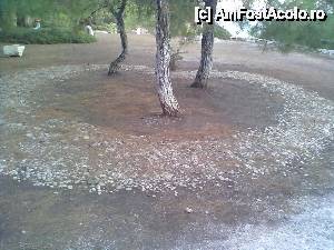 [P15] Plaja Mettalia Palataki, insula Thassos, Limenaria » foto by biancuta
 - 
<span class="allrVoted glyphicon glyphicon-heart hidden" id="av512123"></span>
<a class="m-l-10 hidden" id="sv512123" onclick="voting_Foto_DelVot(,512123,16494)" role="button">șterge vot <span class="glyphicon glyphicon-remove"></span></a>
<a id="v9512123" class=" c-red"  onclick="voting_Foto_SetVot(512123)" role="button"><span class="glyphicon glyphicon-heart-empty"></span> <b>LIKE</b> = Votează poza</a> <img class="hidden"  id="f512123W9" src="/imagini/loader.gif" border="0" /><span class="AjErrMes hidden" id="e512123ErM"></span>
