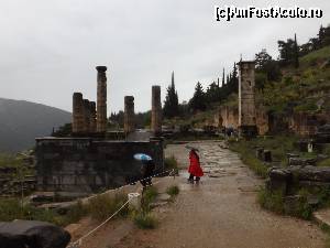 [P04] Templul lui Apollo.  » foto by Radix7
 - 
<span class="allrVoted glyphicon glyphicon-heart hidden" id="av513590"></span>
<a class="m-l-10 hidden" id="sv513590" onclick="voting_Foto_DelVot(,513590,16497)" role="button">șterge vot <span class="glyphicon glyphicon-remove"></span></a>
<a id="v9513590" class=" c-red"  onclick="voting_Foto_SetVot(513590)" role="button"><span class="glyphicon glyphicon-heart-empty"></span> <b>LIKE</b> = Votează poza</a> <img class="hidden"  id="f513590W9" src="/imagini/loader.gif" border="0" /><span class="AjErrMes hidden" id="e513590ErM"></span>