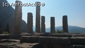 [P01] Coloane din templul lui Apollo » foto by adialexe
 - 
<span class="allrVoted glyphicon glyphicon-heart hidden" id="av881247"></span>
<a class="m-l-10 hidden" id="sv881247" onclick="voting_Foto_DelVot(,881247,16497)" role="button">șterge vot <span class="glyphicon glyphicon-remove"></span></a>
<a id="v9881247" class=" c-red"  onclick="voting_Foto_SetVot(881247)" role="button"><span class="glyphicon glyphicon-heart-empty"></span> <b>LIKE</b> = Votează poza</a> <img class="hidden"  id="f881247W9" src="/imagini/loader.gif" border="0" /><span class="AjErrMes hidden" id="e881247ErM"></span>
