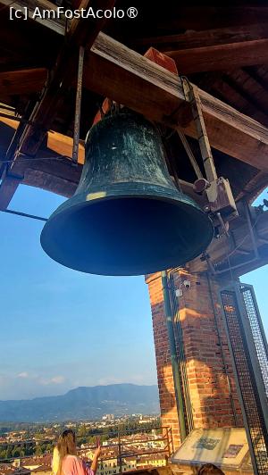 [P10] Torre delle Ore - clopotnița » foto by k-lator
 - 
<span class="allrVoted glyphicon glyphicon-heart hidden" id="av1401907"></span>
<a class="m-l-10 hidden" id="sv1401907" onclick="voting_Foto_DelVot(,1401907,16529)" role="button">șterge vot <span class="glyphicon glyphicon-remove"></span></a>
<a id="v91401907" class=" c-red"  onclick="voting_Foto_SetVot(1401907)" role="button"><span class="glyphicon glyphicon-heart-empty"></span> <b>LIKE</b> = Votează poza</a> <img class="hidden"  id="f1401907W9" src="/imagini/loader.gif" border="0" /><span class="AjErrMes hidden" id="e1401907ErM"></span>