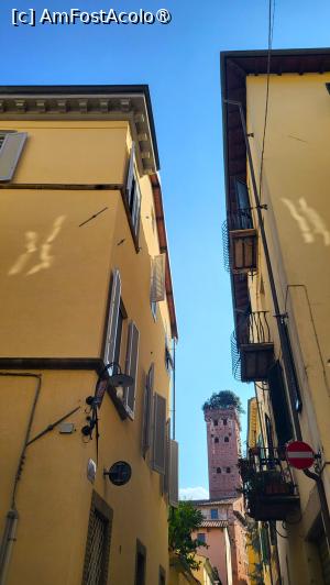[P08] Lucca - Torre Guinigi ( în plan secund) » foto by k-lator
 - 
<span class="allrVoted glyphicon glyphicon-heart hidden" id="av1401905"></span>
<a class="m-l-10 hidden" id="sv1401905" onclick="voting_Foto_DelVot(,1401905,16529)" role="button">șterge vot <span class="glyphicon glyphicon-remove"></span></a>
<a id="v91401905" class=" c-red"  onclick="voting_Foto_SetVot(1401905)" role="button"><span class="glyphicon glyphicon-heart-empty"></span> <b>LIKE</b> = Votează poza</a> <img class="hidden"  id="f1401905W9" src="/imagini/loader.gif" border="0" /><span class="AjErrMes hidden" id="e1401905ErM"></span>