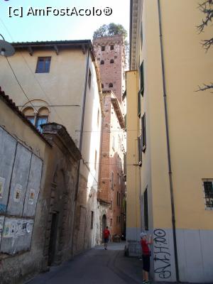 [P10] Lucca. Se zărește Torre Guinigi. » foto by mihaelavoicu
 - 
<span class="allrVoted glyphicon glyphicon-heart hidden" id="av1231316"></span>
<a class="m-l-10 hidden" id="sv1231316" onclick="voting_Foto_DelVot(,1231316,16529)" role="button">șterge vot <span class="glyphicon glyphicon-remove"></span></a>
<a id="v91231316" class=" c-red"  onclick="voting_Foto_SetVot(1231316)" role="button"><span class="glyphicon glyphicon-heart-empty"></span> <b>LIKE</b> = Votează poza</a> <img class="hidden"  id="f1231316W9" src="/imagini/loader.gif" border="0" /><span class="AjErrMes hidden" id="e1231316ErM"></span>