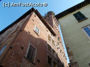 [P11] Lucca. Torre Guinigi. » foto by mihaelavoicu
 - 
<span class="allrVoted glyphicon glyphicon-heart hidden" id="av1231317"></span>
<a class="m-l-10 hidden" id="sv1231317" onclick="voting_Foto_DelVot(,1231317,16529)" role="button">șterge vot <span class="glyphicon glyphicon-remove"></span></a>
<a id="v91231317" class=" c-red"  onclick="voting_Foto_SetVot(1231317)" role="button"><span class="glyphicon glyphicon-heart-empty"></span> <b>LIKE</b> = Votează poza</a> <img class="hidden"  id="f1231317W9" src="/imagini/loader.gif" border="0" /><span class="AjErrMes hidden" id="e1231317ErM"></span>