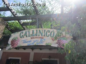 [P09] Distileria Callinico, aflata la a III-a generatie.  » foto by bica adriana
 - 
<span class="allrVoted glyphicon glyphicon-heart hidden" id="av978023"></span>
<a class="m-l-10 hidden" id="sv978023" onclick="voting_Foto_DelVot(,978023,16617)" role="button">șterge vot <span class="glyphicon glyphicon-remove"></span></a>
<a id="v9978023" class=" c-red"  onclick="voting_Foto_SetVot(978023)" role="button"><span class="glyphicon glyphicon-heart-empty"></span> <b>LIKE</b> = Votează poza</a> <img class="hidden"  id="f978023W9" src="/imagini/loader.gif" border="0" /><span class="AjErrMes hidden" id="e978023ErM"></span>
