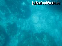 [P70] Albastrul golfului Navagio » foto by marius.covaci
 - 
<span class="allrVoted glyphicon glyphicon-heart hidden" id="av176332"></span>
<a class="m-l-10 hidden" id="sv176332" onclick="voting_Foto_DelVot(,176332,16617)" role="button">șterge vot <span class="glyphicon glyphicon-remove"></span></a>
<a id="v9176332" class=" c-red"  onclick="voting_Foto_SetVot(176332)" role="button"><span class="glyphicon glyphicon-heart-empty"></span> <b>LIKE</b> = Votează poza</a> <img class="hidden"  id="f176332W9" src="/imagini/loader.gif" border="0" /><span class="AjErrMes hidden" id="e176332ErM"></span>