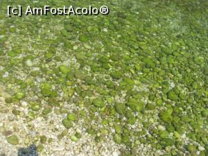 [P17] O cariera de piatra, la intrarea in mare de langa plaja portului Agia Efemia » foto by dorgo
 - 
<span class="allrVoted glyphicon glyphicon-heart hidden" id="av1045919"></span>
<a class="m-l-10 hidden" id="sv1045919" onclick="voting_Foto_DelVot(,1045919,16617)" role="button">șterge vot <span class="glyphicon glyphicon-remove"></span></a>
<a id="v91045919" class=" c-red"  onclick="voting_Foto_SetVot(1045919)" role="button"><span class="glyphicon glyphicon-heart-empty"></span> <b>LIKE</b> = Votează poza</a> <img class="hidden"  id="f1045919W9" src="/imagini/loader.gif" border="0" /><span class="AjErrMes hidden" id="e1045919ErM"></span>