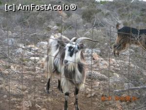[P54] Prin țarc, martore apusului » foto by krisstinna
 - 
<span class="allrVoted glyphicon glyphicon-heart hidden" id="av775731"></span>
<a class="m-l-10 hidden" id="sv775731" onclick="voting_Foto_DelVot(,775731,16617)" role="button">șterge vot <span class="glyphicon glyphicon-remove"></span></a>
<a id="v9775731" class=" c-red"  onclick="voting_Foto_SetVot(775731)" role="button"><span class="glyphicon glyphicon-heart-empty"></span> <b>LIKE</b> = Votează poza</a> <img class="hidden"  id="f775731W9" src="/imagini/loader.gif" border="0" /><span class="AjErrMes hidden" id="e775731ErM"></span>