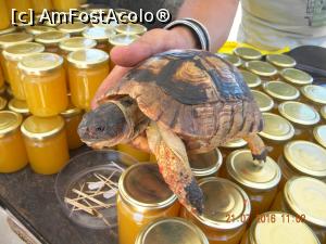 [P57] Produse apicole și o drăgălașă » foto by krisstinna
 - 
<span class="allrVoted glyphicon glyphicon-heart hidden" id="av775735"></span>
<a class="m-l-10 hidden" id="sv775735" onclick="voting_Foto_DelVot(,775735,16617)" role="button">șterge vot <span class="glyphicon glyphicon-remove"></span></a>
<a id="v9775735" class=" c-red"  onclick="voting_Foto_SetVot(775735)" role="button"><span class="glyphicon glyphicon-heart-empty"></span> <b>LIKE</b> = Votează poza</a> <img class="hidden"  id="f775735W9" src="/imagini/loader.gif" border="0" /><span class="AjErrMes hidden" id="e775735ErM"></span>