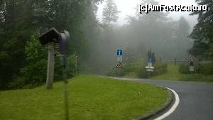[P06]  -- <small>// FĂRĂ DESCRIERE</small> » foto by foxliviu71
 - 
<span class="allrVoted glyphicon glyphicon-heart hidden" id="av517813"></span>
<a class="m-l-10 hidden" id="sv517813" onclick="voting_Foto_DelVot(,517813,16625)" role="button">șterge vot <span class="glyphicon glyphicon-remove"></span></a>
<a id="v9517813" class=" c-red"  onclick="voting_Foto_SetVot(517813)" role="button"><span class="glyphicon glyphicon-heart-empty"></span> <b>LIKE</b> = Votează poza</a> <img class="hidden"  id="f517813W9" src="/imagini/loader.gif" border="0" /><span class="AjErrMes hidden" id="e517813ErM"></span>