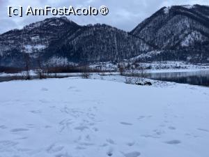 [P77] Pensiunea Alpina din Mălaia - pe malul lacului » foto by nicole33
 - 
<span class="allrVoted glyphicon glyphicon-heart hidden" id="av1472198"></span>
<a class="m-l-10 hidden" id="sv1472198" onclick="voting_Foto_DelVot(,1472198,16630)" role="button">șterge vot <span class="glyphicon glyphicon-remove"></span></a>
<a id="v91472198" class=" c-red"  onclick="voting_Foto_SetVot(1472198)" role="button"><span class="glyphicon glyphicon-heart-empty"></span> <b>LIKE</b> = Votează poza</a> <img class="hidden"  id="f1472198W9" src="/imagini/loader.gif" border="0" /><span class="AjErrMes hidden" id="e1472198ErM"></span>