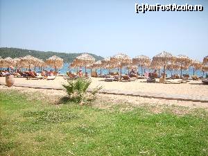 [P19] Skiathos Princess - plaja. Piscinele sunt despărţite de plajă de o făşie de iarbă de aprox 50 m lăţime » foto by Andox
 - 
<span class="allrVoted glyphicon glyphicon-heart hidden" id="av518475"></span>
<a class="m-l-10 hidden" id="sv518475" onclick="voting_Foto_DelVot(,518475,16634)" role="button">șterge vot <span class="glyphicon glyphicon-remove"></span></a>
<a id="v9518475" class=" c-red"  onclick="voting_Foto_SetVot(518475)" role="button"><span class="glyphicon glyphicon-heart-empty"></span> <b>LIKE</b> = Votează poza</a> <img class="hidden"  id="f518475W9" src="/imagini/loader.gif" border="0" /><span class="AjErrMes hidden" id="e518475ErM"></span>
