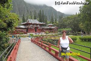 [P14] Byodo-in templul japonez » foto by delia58
 - 
<span class="allrVoted glyphicon glyphicon-heart hidden" id="av519710"></span>
<a class="m-l-10 hidden" id="sv519710" onclick="voting_Foto_DelVot(,519710,16658)" role="button">șterge vot <span class="glyphicon glyphicon-remove"></span></a>
<a id="v9519710" class=" c-red"  onclick="voting_Foto_SetVot(519710)" role="button"><span class="glyphicon glyphicon-heart-empty"></span> <b>LIKE</b> = Votează poza</a> <img class="hidden"  id="f519710W9" src="/imagini/loader.gif" border="0" /><span class="AjErrMes hidden" id="e519710ErM"></span>