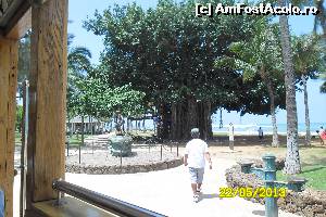 [P15] Waikiki pomul Banian la care radacinile au devenit tulpina » foto by delia58
 - 
<span class="allrVoted glyphicon glyphicon-heart hidden" id="av519797"></span>
<a class="m-l-10 hidden" id="sv519797" onclick="voting_Foto_DelVot(,519797,16658)" role="button">șterge vot <span class="glyphicon glyphicon-remove"></span></a>
<a id="v9519797" class=" c-red"  onclick="voting_Foto_SetVot(519797)" role="button"><span class="glyphicon glyphicon-heart-empty"></span> <b>LIKE</b> = Votează poza</a> <img class="hidden"  id="f519797W9" src="/imagini/loader.gif" border="0" /><span class="AjErrMes hidden" id="e519797ErM"></span>