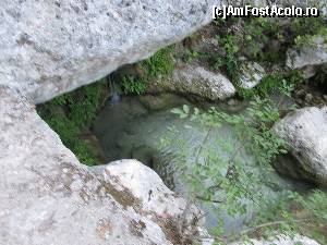 [P10] Cascada Dimosari, Lefkada-pe alocuri cate un mic lac format in locurile mai umbrite » foto by luciaoradea
 - 
<span class="allrVoted glyphicon glyphicon-heart hidden" id="av559152"></span>
<a class="m-l-10 hidden" id="sv559152" onclick="voting_Foto_DelVot(,559152,16678)" role="button">șterge vot <span class="glyphicon glyphicon-remove"></span></a>
<a id="v9559152" class=" c-red"  onclick="voting_Foto_SetVot(559152)" role="button"><span class="glyphicon glyphicon-heart-empty"></span> <b>LIKE</b> = Votează poza</a> <img class="hidden"  id="f559152W9" src="/imagini/loader.gif" border="0" /><span class="AjErrMes hidden" id="e559152ErM"></span>