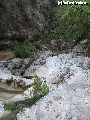 [P11] Cascada Dimosari, Lefkada-incepea sa se auda susurul apei, dar apa in sine cam putina » foto by luciaoradea
 - 
<span class="allrVoted glyphicon glyphicon-heart hidden" id="av559155"></span>
<a class="m-l-10 hidden" id="sv559155" onclick="voting_Foto_DelVot(,559155,16678)" role="button">șterge vot <span class="glyphicon glyphicon-remove"></span></a>
<a id="v9559155" class=" c-red"  onclick="voting_Foto_SetVot(559155)" role="button"><span class="glyphicon glyphicon-heart-empty"></span> <b>LIKE</b> = Votează poza</a> <img class="hidden"  id="f559155W9" src="/imagini/loader.gif" border="0" /><span class="AjErrMes hidden" id="e559155ErM"></span>