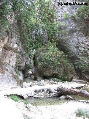 [P13] Cascada Dimosari, Lefkada-se vede teava prinsa pe munte in stanga pozei » foto by luciaoradea
 - 
<span class="allrVoted glyphicon glyphicon-heart hidden" id="av559160"></span>
<a class="m-l-10 hidden" id="sv559160" onclick="voting_Foto_DelVot(,559160,16678)" role="button">șterge vot <span class="glyphicon glyphicon-remove"></span></a>
<a id="v9559160" class=" c-red"  onclick="voting_Foto_SetVot(559160)" role="button"><span class="glyphicon glyphicon-heart-empty"></span> <b>LIKE</b> = Votează poza</a> <img class="hidden"  id="f559160W9" src="/imagini/loader.gif" border="0" /><span class="AjErrMes hidden" id="e559160ErM"></span>