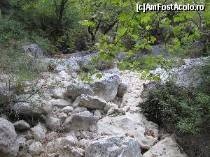 [P02] Cascada Dimosari, Lefkada-prima poza cu muntele facuta dupa ce am coborat din masina » foto by luciaoradea
 - 
<span class="allrVoted glyphicon glyphicon-heart hidden" id="av559131"></span>
<a class="m-l-10 hidden" id="sv559131" onclick="voting_Foto_DelVot(,559131,16678)" role="button">șterge vot <span class="glyphicon glyphicon-remove"></span></a>
<a id="v9559131" class=" c-red"  onclick="voting_Foto_SetVot(559131)" role="button"><span class="glyphicon glyphicon-heart-empty"></span> <b>LIKE</b> = Votează poza</a> <img class="hidden"  id="f559131W9" src="/imagini/loader.gif" border="0" /><span class="AjErrMes hidden" id="e559131ErM"></span>