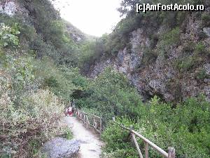 [P04] Cascada Dimosari, Lefkada-balustrade de lemn marginesc poteca » foto by luciaoradea
 - 
<span class="allrVoted glyphicon glyphicon-heart hidden" id="av559137"></span>
<a class="m-l-10 hidden" id="sv559137" onclick="voting_Foto_DelVot(,559137,16678)" role="button">șterge vot <span class="glyphicon glyphicon-remove"></span></a>
<a id="v9559137" class=" c-red"  onclick="voting_Foto_SetVot(559137)" role="button"><span class="glyphicon glyphicon-heart-empty"></span> <b>LIKE</b> = Votează poza</a> <img class="hidden"  id="f559137W9" src="/imagini/loader.gif" border="0" /><span class="AjErrMes hidden" id="e559137ErM"></span>